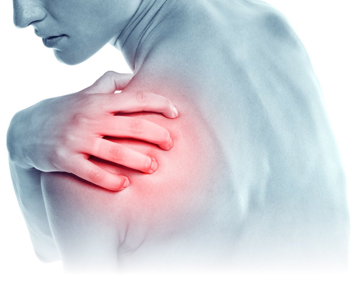 aasthajoints's tweet photo. Rotator cuff tear and impingement: All you need to know. To read more, please check out our blog at: https://t.co/CTbk5atTRC

#RotatorCuffTear #RotatorCuffSurgery #RotatorCuffRepair #Fitness #Health https://t.co/cGkHiwM4Qq