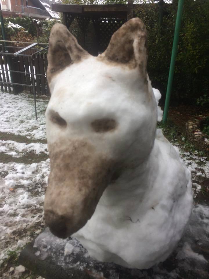 Lucee Malinois tweet media