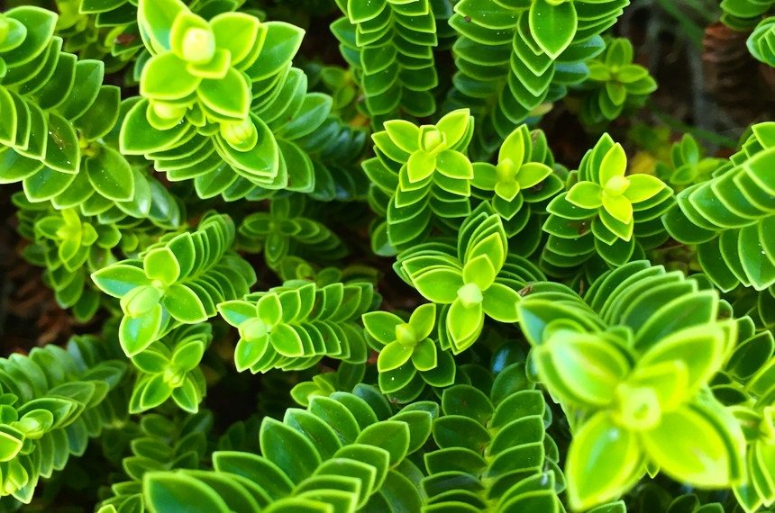 Hi4CSR's tweet photo. [#Hi4CSR BLOG] The labelling of organic food has long been a source of confusion. #Euroleaf makes it easier to identify organic products. @uniLUM @rosamartina1 Read more: https://t.co/CRFobGDVNV https://t.co/rBZMEPnVWd