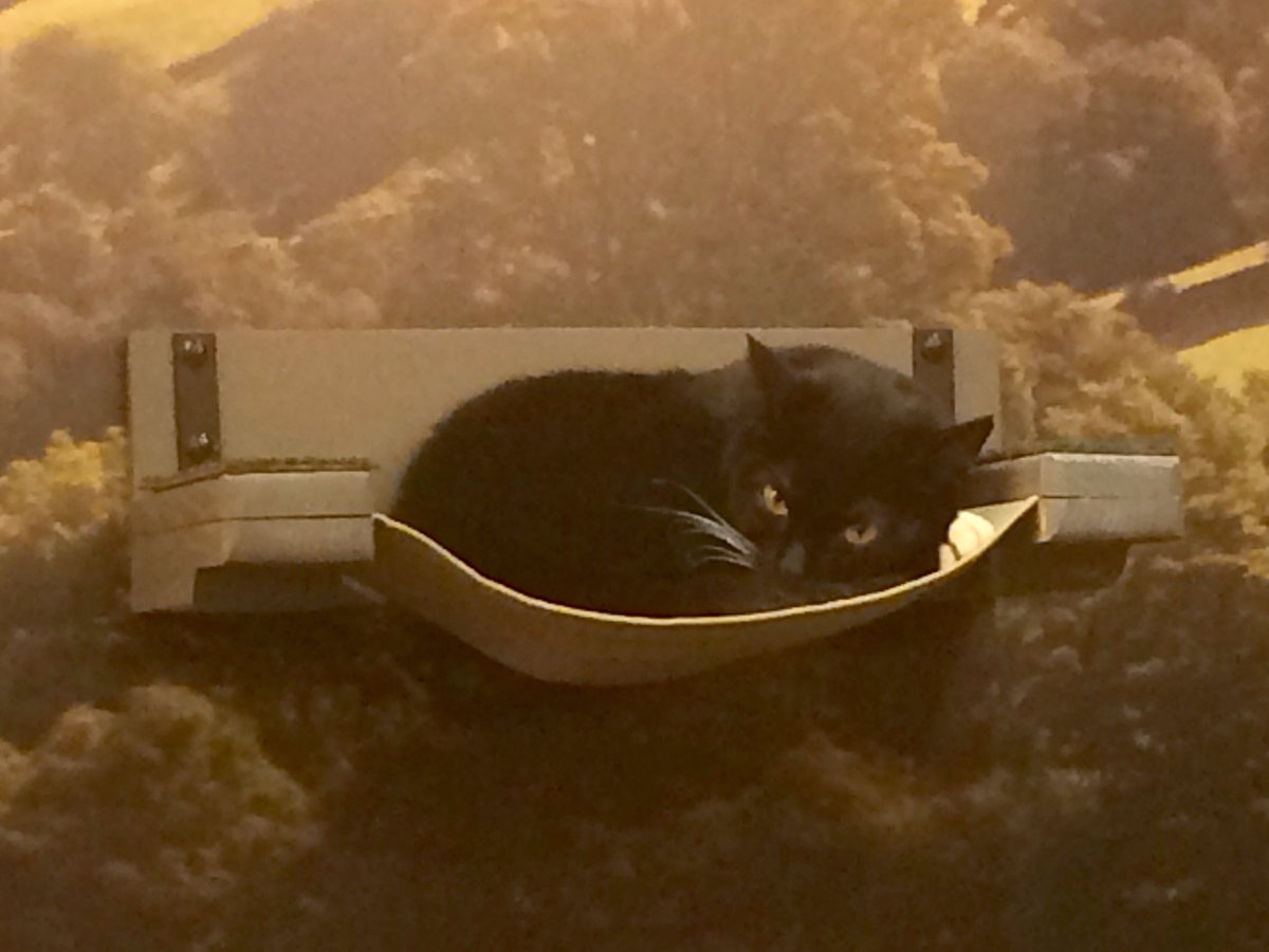 Ian Coldicott tweet media