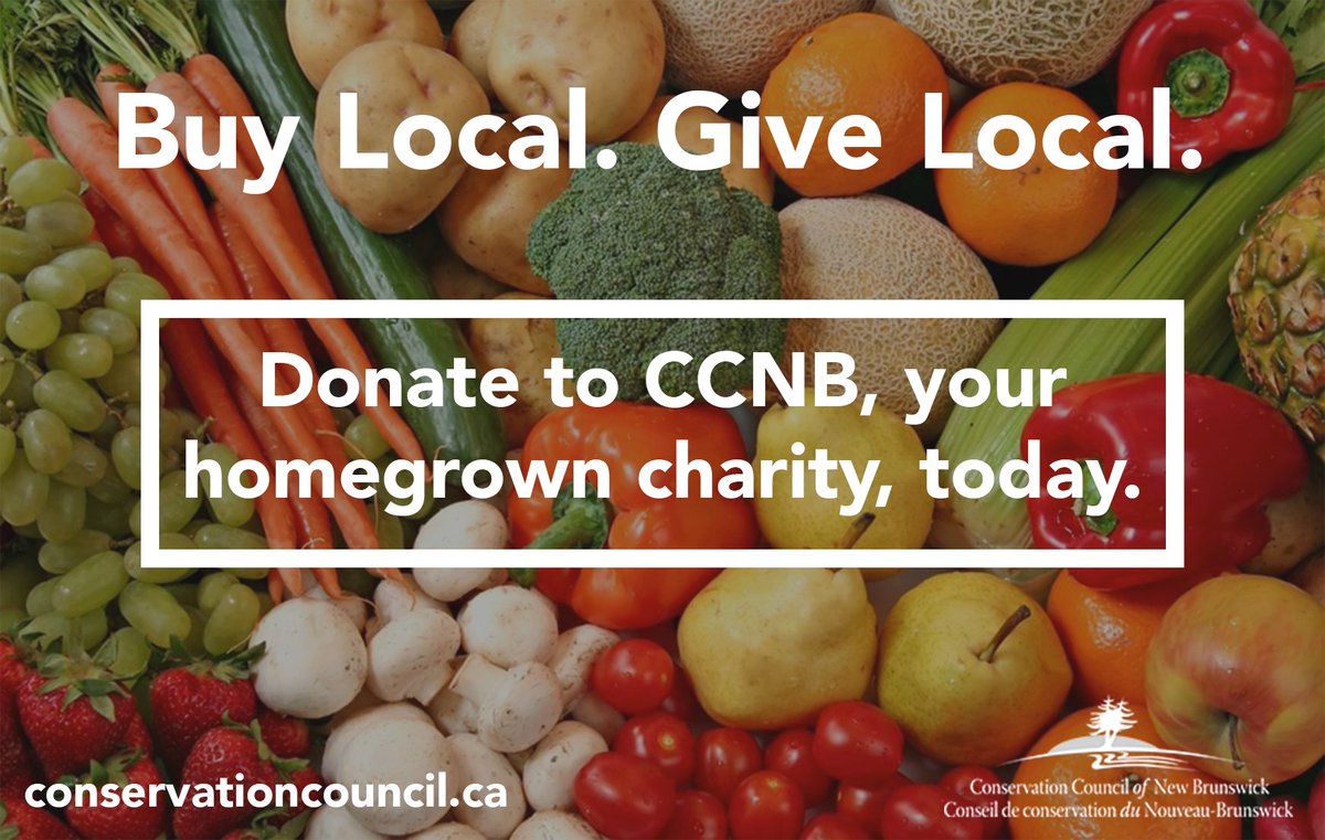 buy local nb