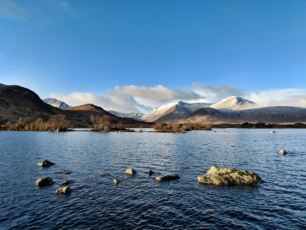 Stuart Robinson tweet media