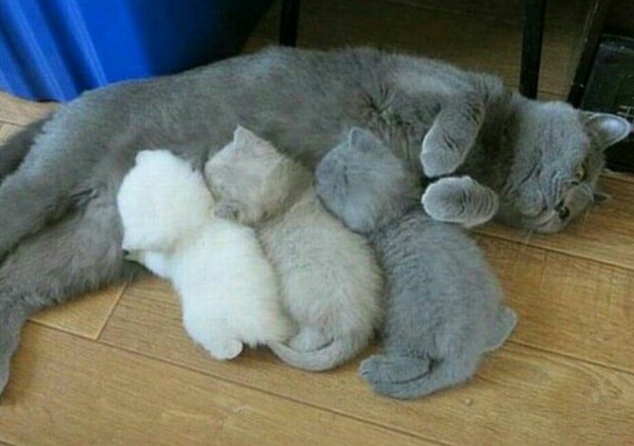 Usinagem3's tweet image. #QuartaComTsunamiSdv

Quando está acabando a tinta da impressora.