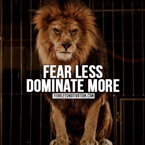 FBCMotton's tweet photo. Can’t wait til the Summer.  Everybody on the internet talking like they’re the Big dawg then you see they’re team and they play like puppies 🐶 It’s go time again❤️⚪️💙#FearlessDominateMore https://t.co/gIx8OQbUyX
