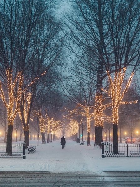 LifeByKhan's tweet photo. 'Grams of Gold | Improper Bostonian https://t.co/2ZrEPKzE44 https://t.co/xztROcdLfJ