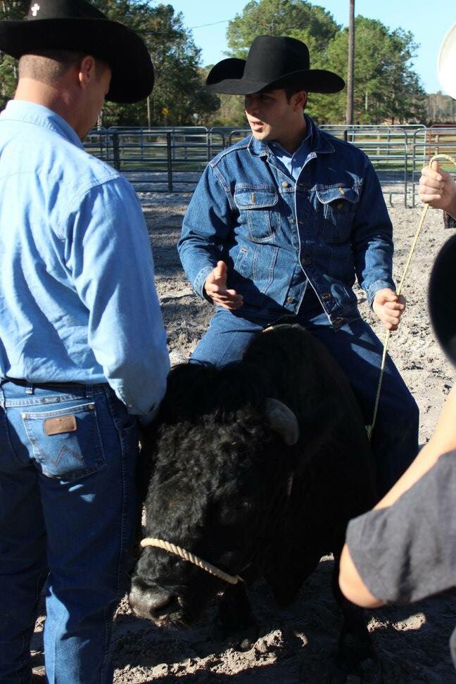PalermoPBR's tweet photo. Bull riding clinic https://t.co/tSynKVvXrD