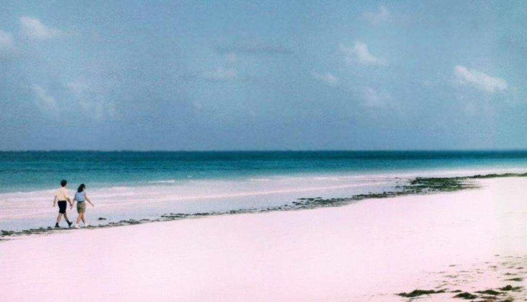 Melinda French Gates tweet media