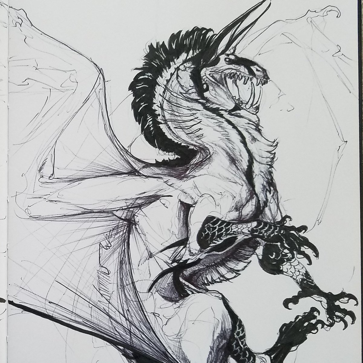 BeastofOblivion's tweet photo. Gift sketches for DemonML of their char Rayliff, and Nukerooster of their Arch, Kurai. https://t.co/YiyyPb5vUc