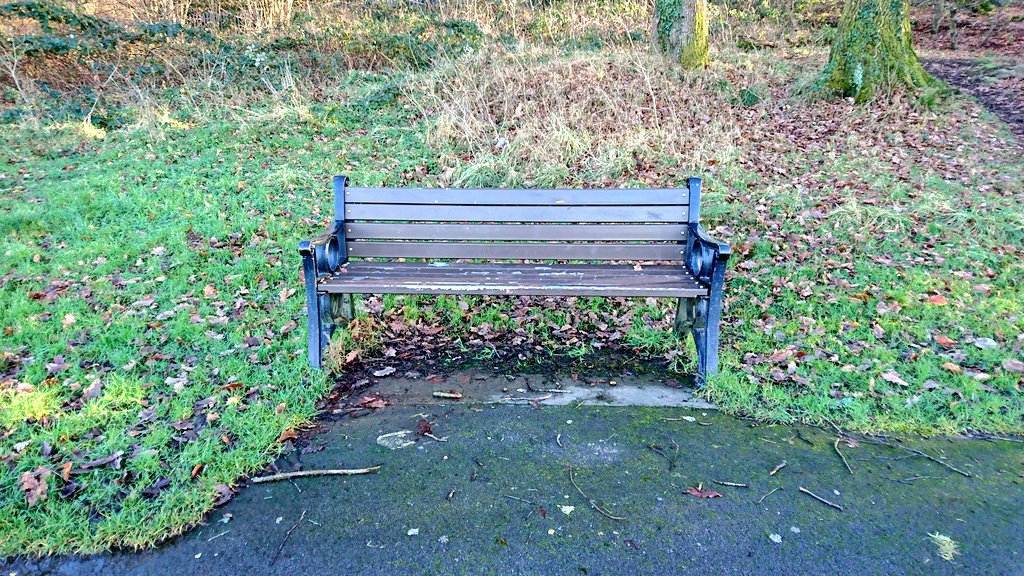 RKGvideo's tweet photo. The Bench. https://t.co/txFvaCaHAt