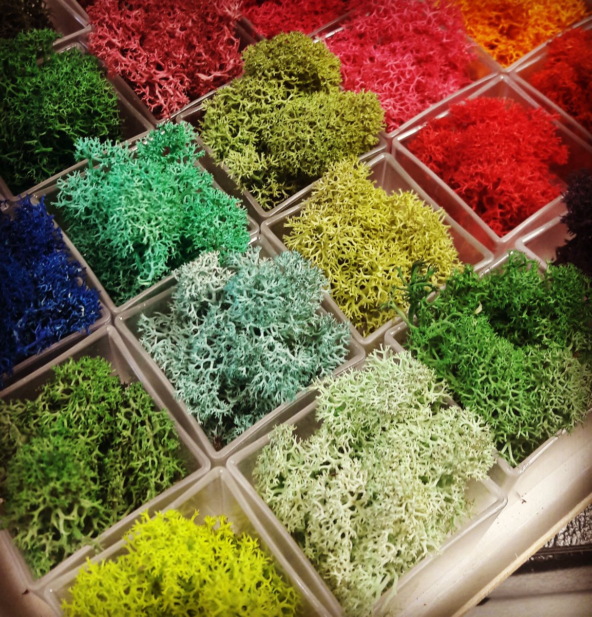 JorgeAguileraES's tweet photo. Una mañana muy productiva con @arquigreen aprendiendo mucho sobre plantas preservadas y sus posibles usos en Arte, Diseño y Arquitectura :) Gracias Ana!
#ArquiGreen #Granada #plantas #musgo #liquen #arte #diseño #creatividad #arquitectura #UnderGreen #green #marketing https://t.co/Vf2UHg1oFG