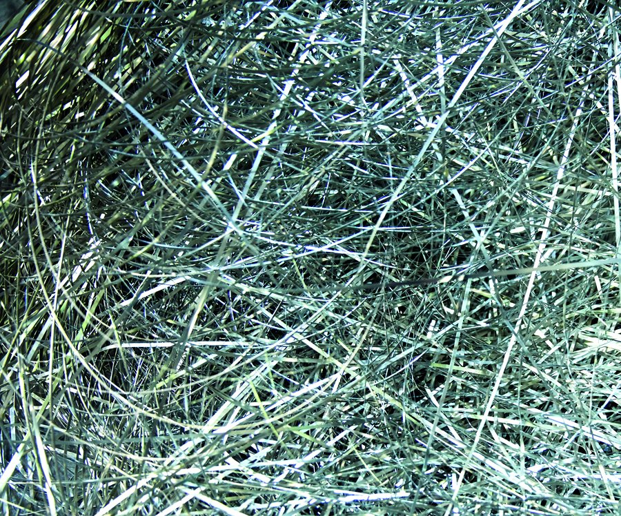stainlessband_'s tweet photo. it may look like #tinsel but its #scrap that gets recycled to help preserve the planet for another year #caringaboutchristmas #caringabouttheplanet #recyclescrap https://t.co/Ks1bUJ4NLG
