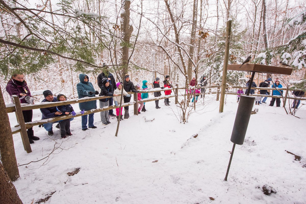 clevemetroparks's tweet photo. Cleveland Metroparks provides dozens of opportunities to get outside this winter, from hand-feeding chickadees to skiing to tobogganing - you can help keep our parks growing strong all year-long with a gift to the Centennial Forests Fund https://t.co/DwZ8ymuZSx #est1917 https://t.co/4Ipi29WvJ1