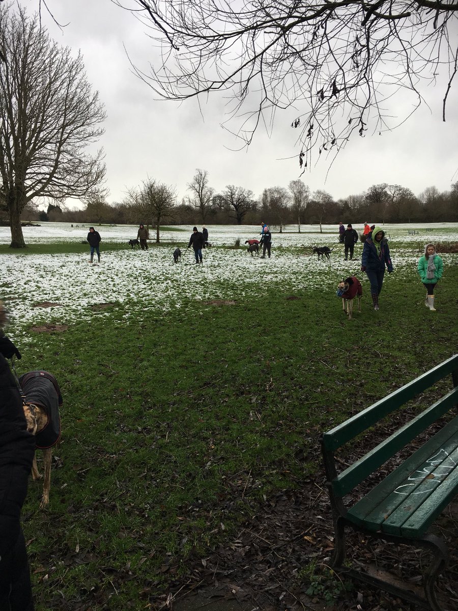 BgpDoggies's tweet photo. Today lots of ppl came to kennels so we all went to the park for a group walk 🐾🐾💞
It was lovely, lots to see n sniff https://t.co/L3jIUbjBMK