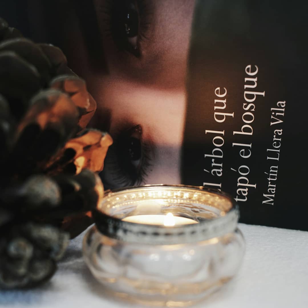 LadyAliceBlog's tweet image. Me acaba de llegar #elárbolquetapóelbosque de @LetrameLibros y hoy hace un día perfecto para leerlo 😊

instagram.com/p/BdNU4hzDGjo/