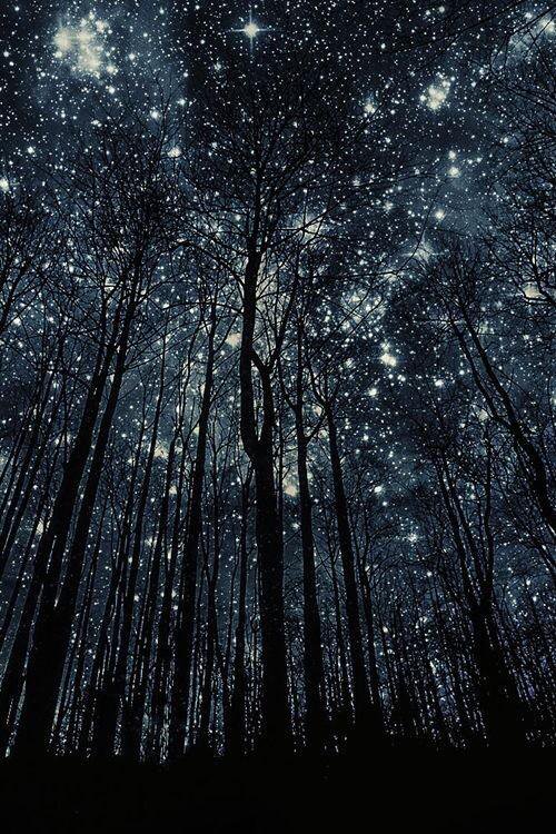 STRRegistration's tweet photo. We hope you've enjoyed #Christmas! #Star #Stars https://t.co/v74TmaBg7B
