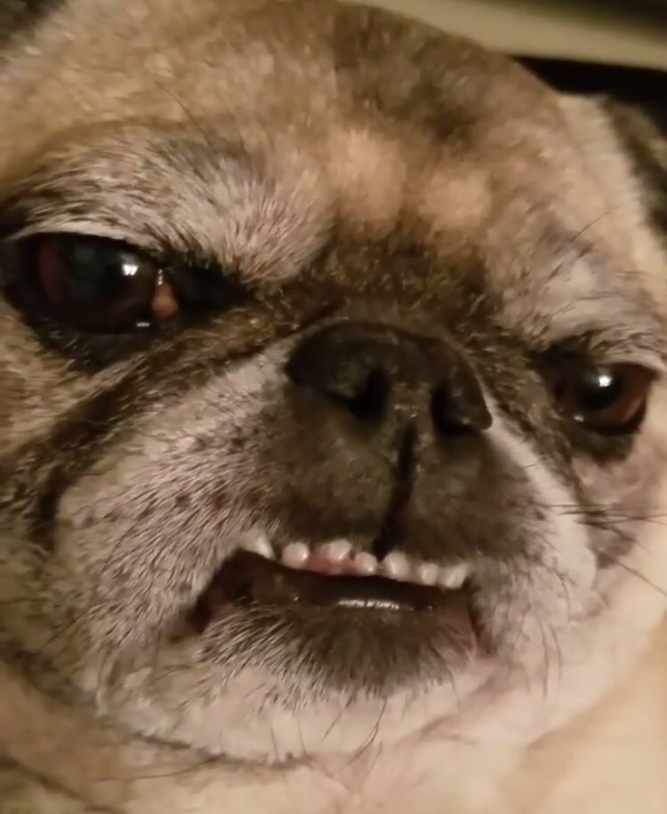 garyfromteenmom's tweet image. look for the girl with the broken smile