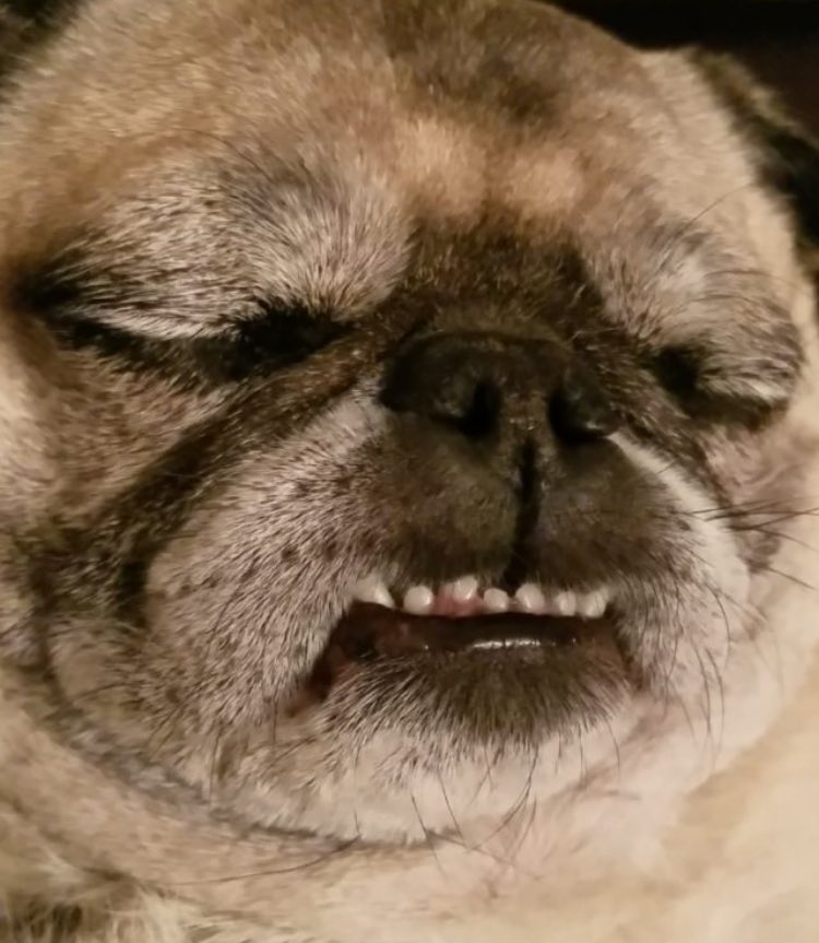 garyfromteenmom's tweet image. look for the girl with the broken smile