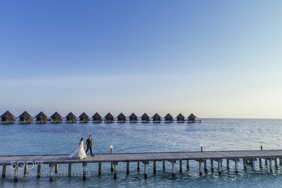 Popular #Wedding picture on 500px : #wedding in maldives by phaisalphotos . wedding in maldives by phaisalphotos . # beach,travel,wedding,bride,maldives,beachwedding,weddinginmaldives,maldivesphotographer