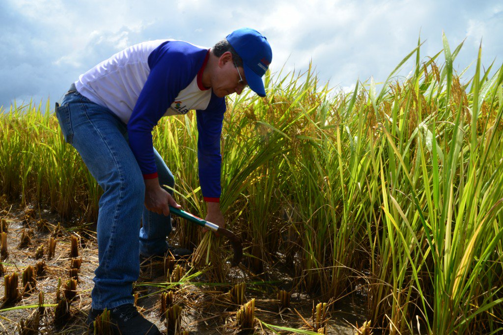 GobiernoYaracuy's tweet photo. #FelizJueves| #28Dic| “Le pedimos a nuestro pueblo victorioso que tengan paciencia y confianza en nosotros. Sepan que vamos a seguir trabajando, con todo nuestro esfuerzo y empeño y hacer lo posible por proteger a nuestro pueblo” @JULIOLEONYARA https://t.co/avipv3TODI