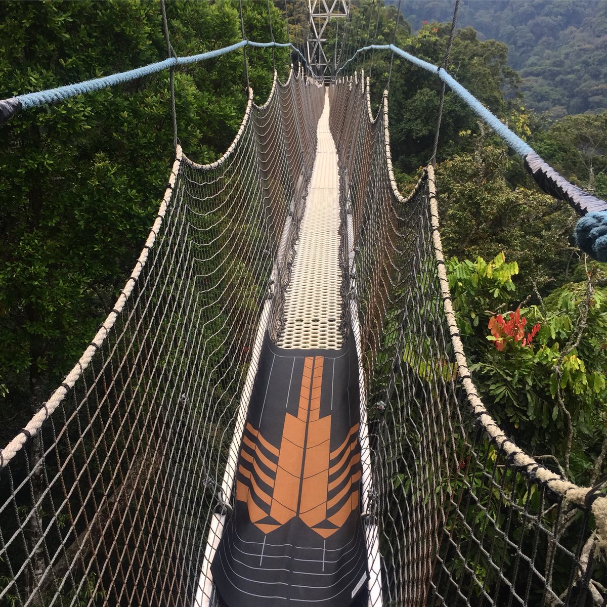 trüFORMAT tweet media