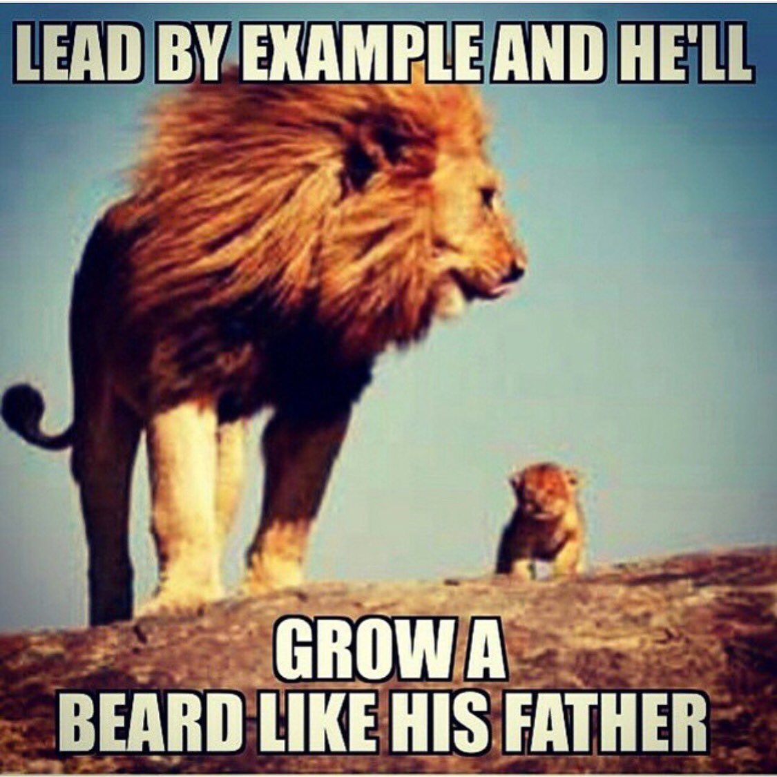 Lead by example