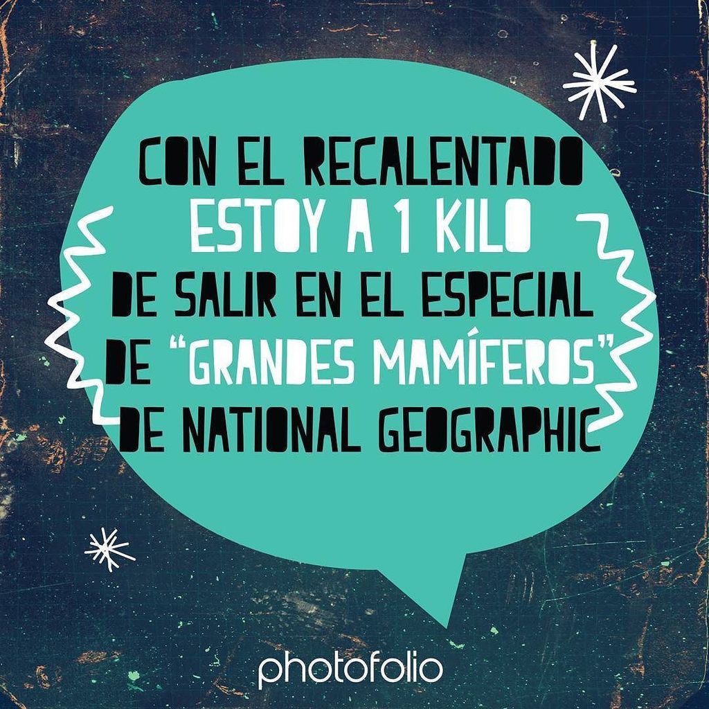 photofoliomx's tweet photo. Almuerzo, como y ceno, recalentado gente😥 ¿a quién más le pasa? Eso sí, no le quita lo rico🙊
.
.
.
.
.
#recalentado #tamalitos #pavito #navidad2017 #miercoles #nationalgeographic #morekilos #pancita #photofoliomx https://t.co/kiAFKCH8Td https://t.co/JlxDLk5Fg6