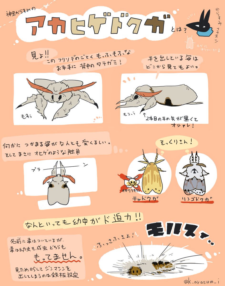 神虫からすみ オオスカシバの人 振袖の申し子 アカヒゲドクガちゃん 腕がもふもふなのである 個人的に幼虫も かわいいのです からすみの虫図鑑 神虫からすみ オオスカシバの人 振袖の申し子 アカヒゲドクガちゃん 腕がもふもふなのである 個人的に幼虫も かわいいのです からすみの虫図鑑