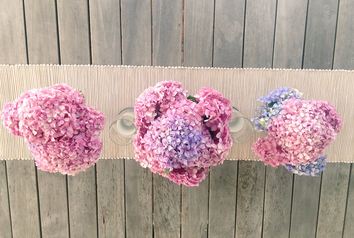 Garden flowers for the table #lovehydreangas #christmasinthesun <a href="/lovecapetown/">Love Cape Town</a>