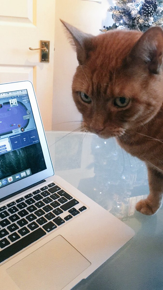 Natalie_Bromley's tweet photo. First day of the @SkyPoker #UKOPS XXI and I’ve already built up a rail #ukops #poker #CatsOfTwitter https://t.co/RPrIDbzRd7