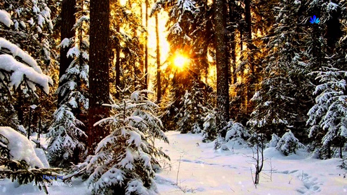 RealHelthyStyle's tweet image. winter Morning 
Good Morning