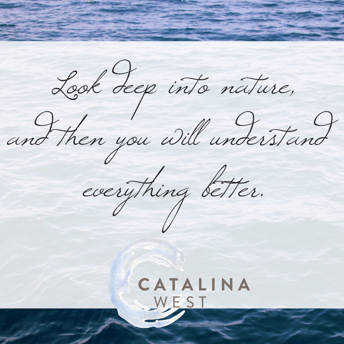 #catalinawest #instaquotes #catalinawest #livinglubbock #livelovelubbock #westend