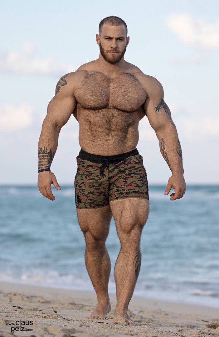 Muscle bears