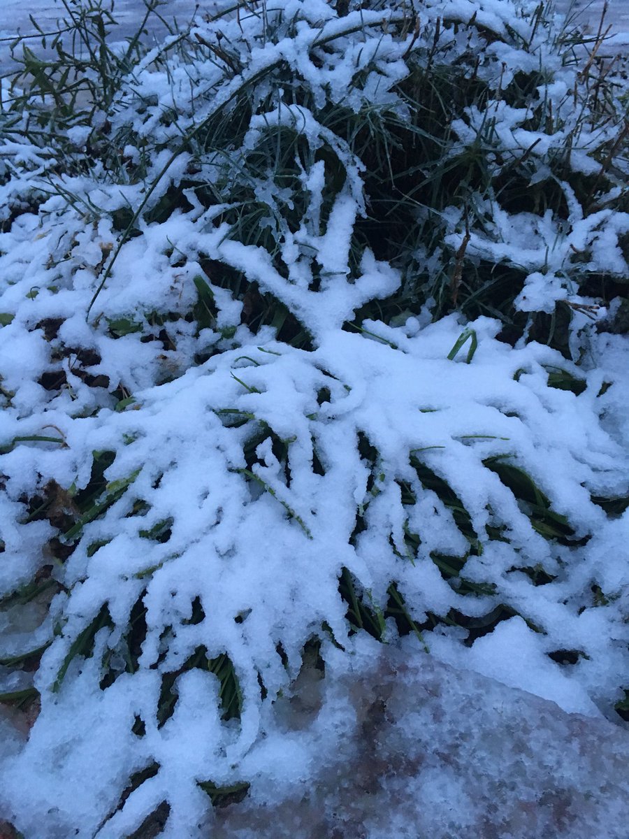 SkylarkArtist's tweet photo. Mountains and Falls...
#snowonsnow
❄️🌱❄️ https://t.co/LlcJKGxga1