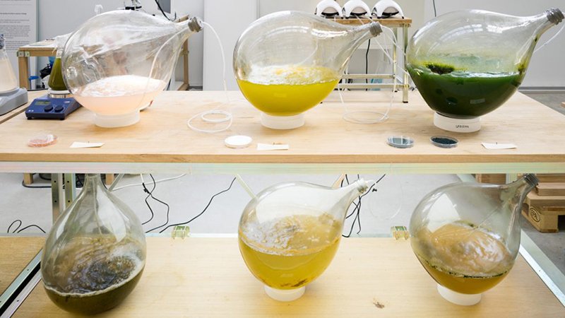 ioMosaic's tweet photo. #FastCoDesign New bioplastic made from algae could replace oil-based plastic completely https://t.co/wh7Nrrer76 https://t.co/IlCdruJTts