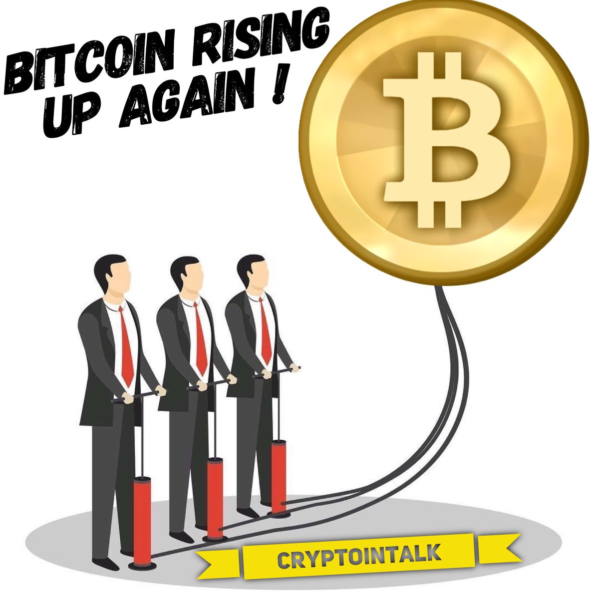 CryptoInTalk's tweet image. Comment your thoughts on #Bitcoin Proce Next Year !!