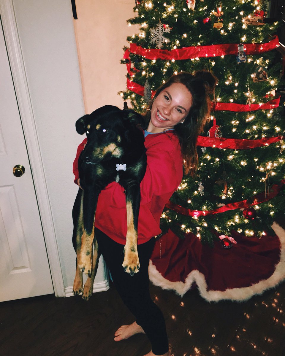 alyssajcantrell's tweet photo. It’s the holiday season 🎄 https://t.co/G4NptAmMOo