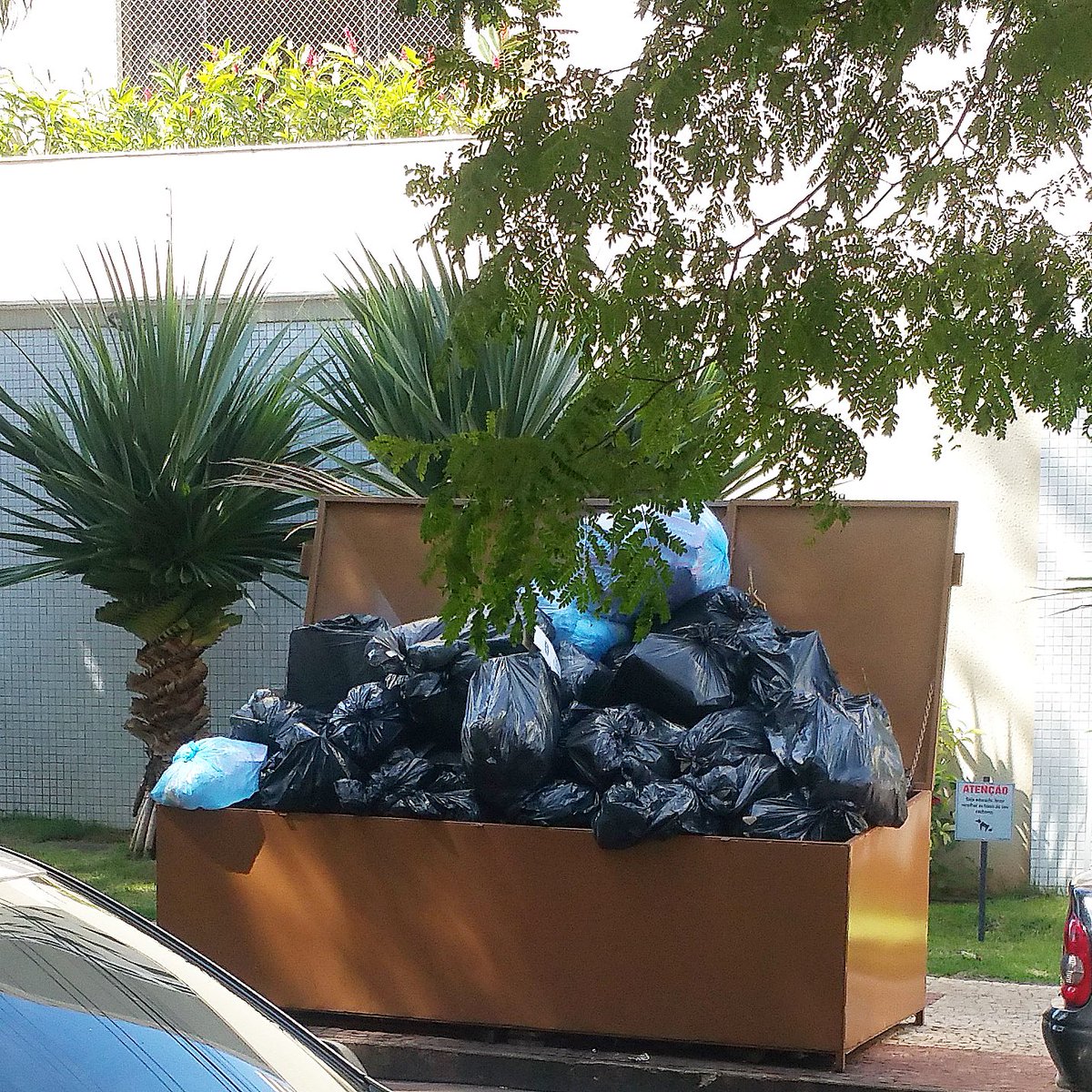 IvoneSilva51's tweet photo. Sei que não deve ser fácil manter uma cidade como Goiânia limpinha etc. Mas ficar nessa época de fim de ano com sua rua assim, não tá fácil @comurg #setorbueno #t29 tá brabo https://t.co/4wyJh3IdMd