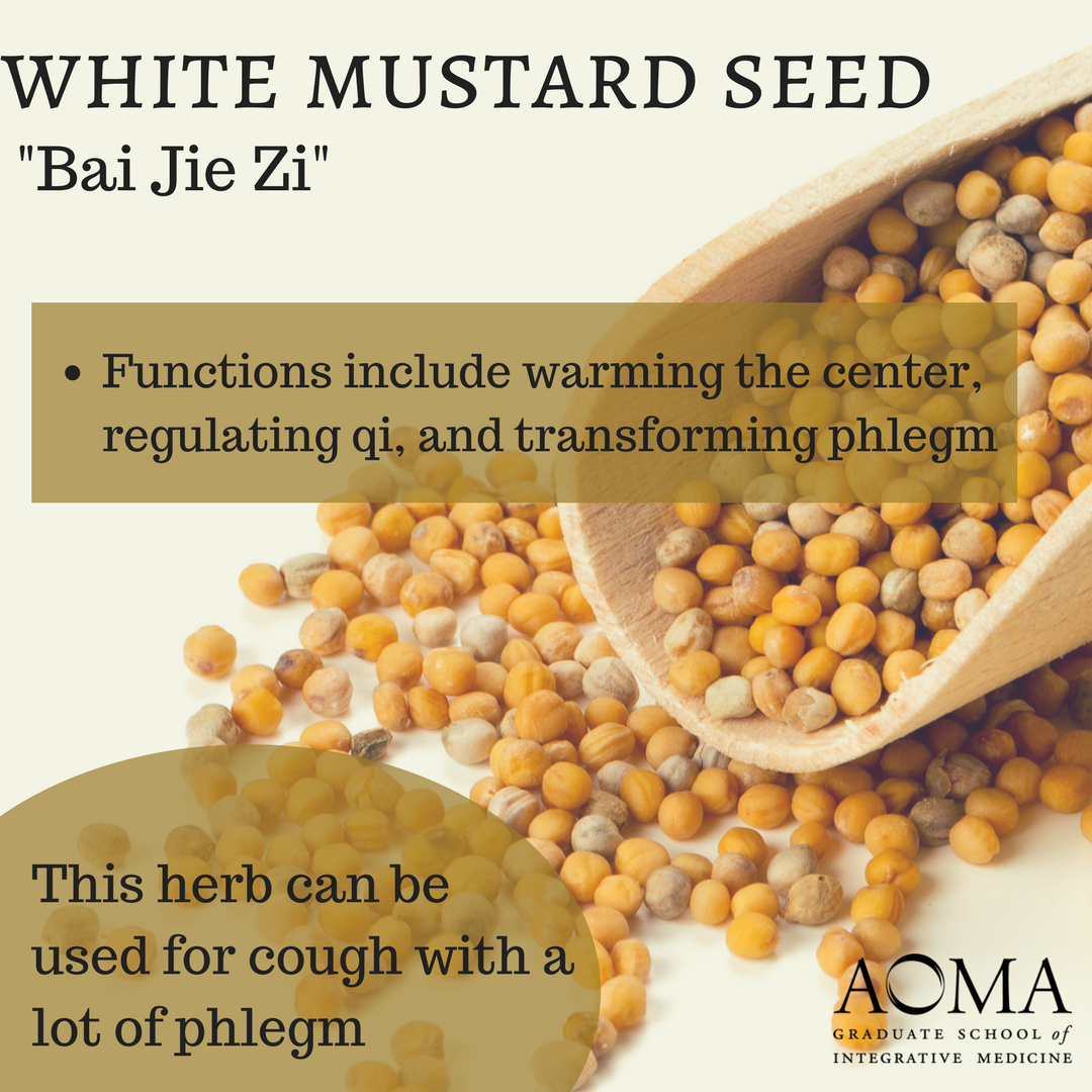 aoma_austin's tweet image. #WellnessWednesday: Do you cook with #whitemustardseeds ? #tcmnutrition