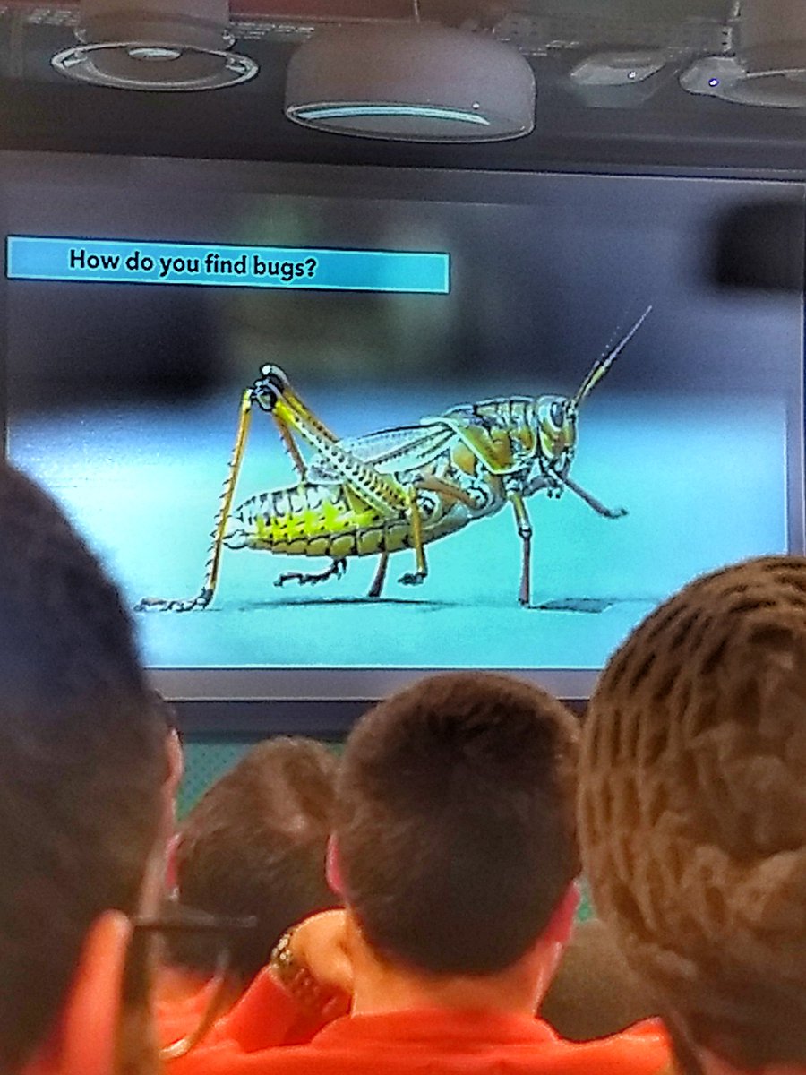 viennajs's tweet image. #jsisrael #telavivjs #debugger