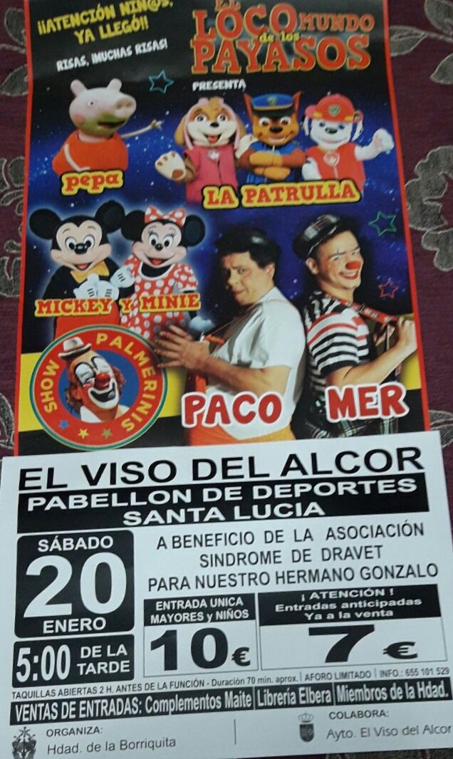Evento solidario a benéfico del sindrome dravet gracias a la hermandad de la borriquita y Ayuntamiento del viso de Alcor un sueño. Una meta q todo sea por nuestros pequeños guerreros llenemos el pabellón Santa lucia el viso del Alcor.