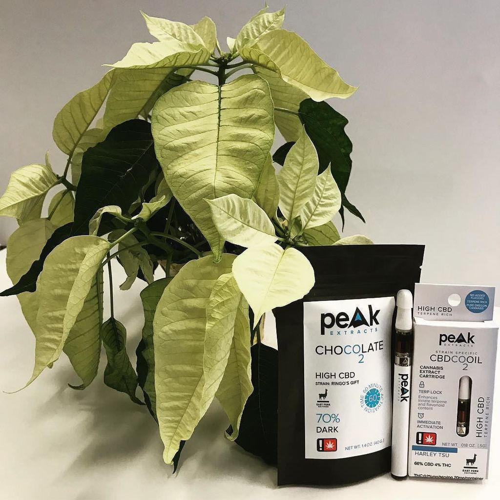 kt_bythesea's tweet photo. Grateful to be collaborating with @eastforkcultivars . It's truly beautiful how helpful CBD products can be. #FindYourPeak #PeakExtracts #StrainSpecific #EastForkCultivars
•
•
•
#singlestrain #peakchocolate #veganchocolate #weedwednesdays #humpday #T… https://t.co/4WNnixXJLQ https://t.co/IbF4kBFivQ
