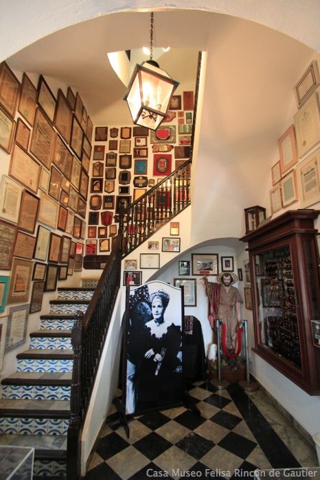 Felisa Rincon Nieve Trae