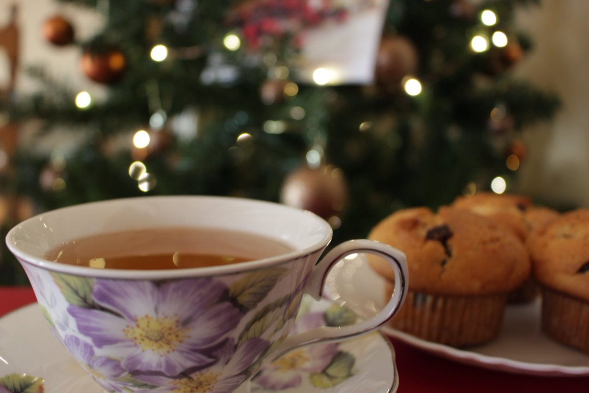 EnchanteBlends's tweet photo. Tardes decembrinas a puro té #FelicesFiestas #Navidad2017 #AnoNuevo2018 #EnchanteBlends #teagalore #teasommelier #tealover #tealovers https://t.co/3wuJwU3DYx
