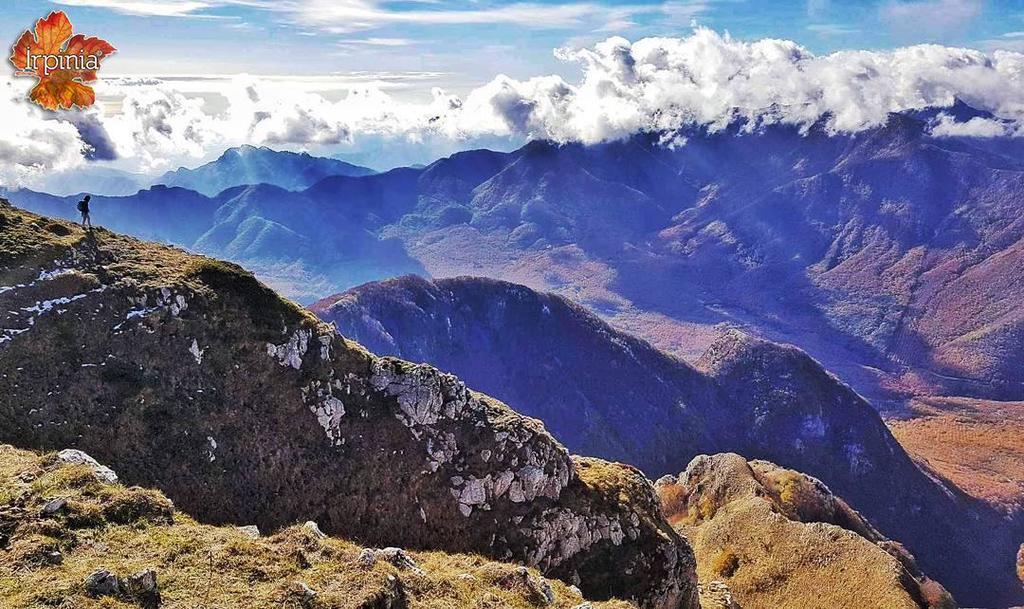 hirpinia's tweet photo. 💫Official Page 💫
📷 Photo by @gerardotroisi
🌍 Place: #TERMINIO
-------------------------------------------
🔎 Selected by @robtaurasi
🌐 Social: Facebook -Twitter -Google
👥 Partners: @ig_avellino @irpiniatramonti
📲 Follow & Tag #irpinia #landscape
-… https://t.co/gLxHEN7ox4 https://t.co/TdwlaJZMKA