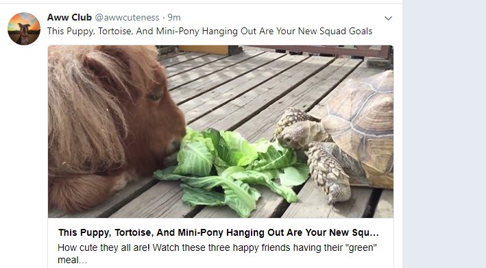 spongebat123456's tweet photo. k so like wheres the puppy in this picture https://t.co/gzeZo91M1m