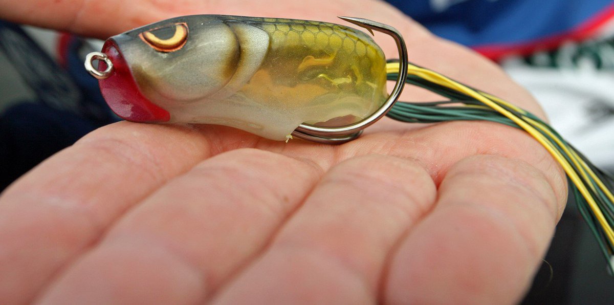 DeanRojas5for45's tweet photo. Who's ready for some Springtime @spro.u.s.a Spit Shad action? #sprofrog #bassfishing https://t.co/nsaAd5Cwrr