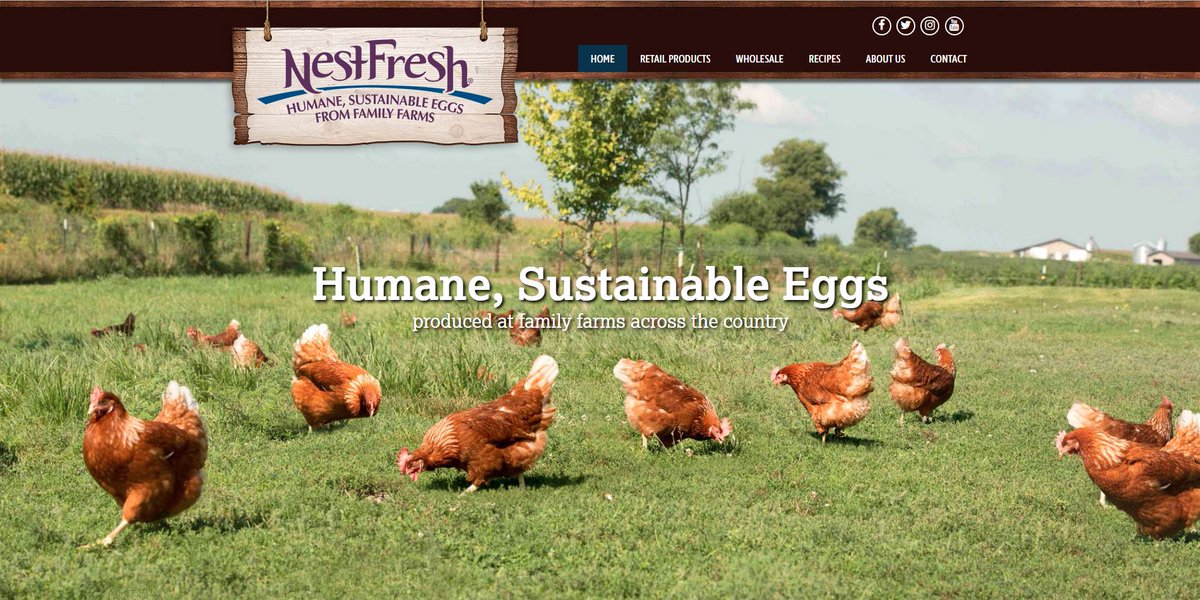 RG Media Company tweet media