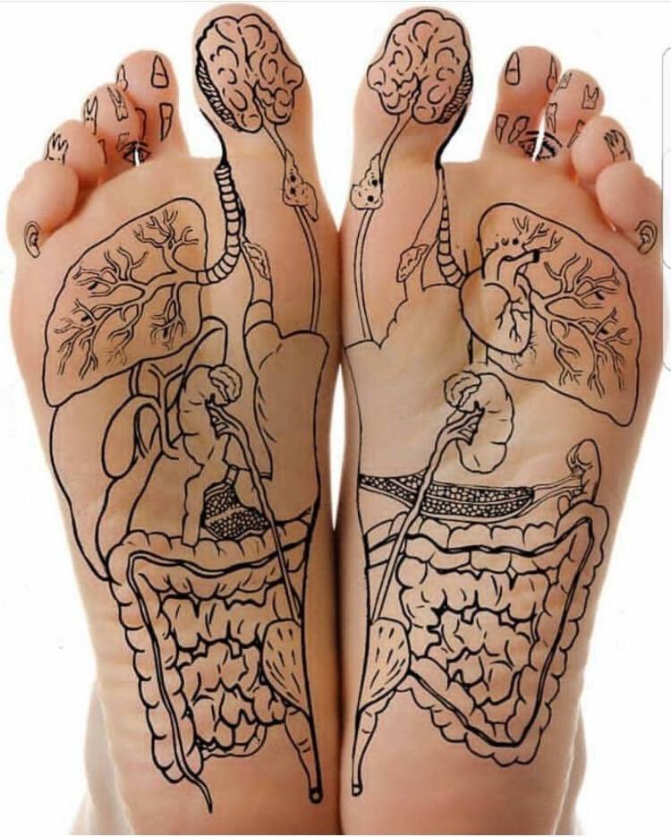 rose_holistic's tweet photo. Hi everyone, for those of you that may want more information here’s an interesting article that explains all about reflexology 👣

https://t.co/FGf3owFXs4 https://t.co/aHoKKkC3Yt
