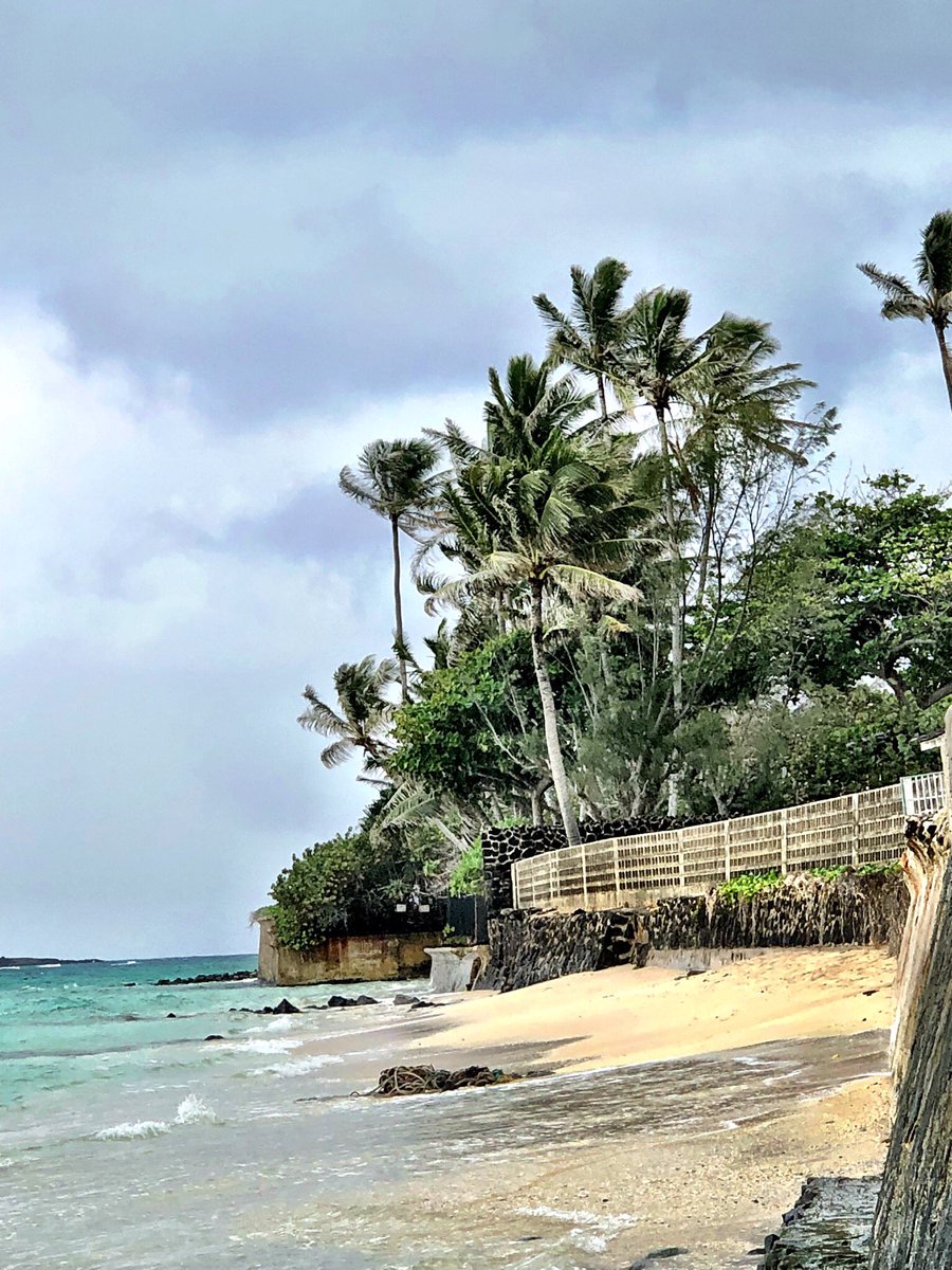 EricWearsTweed's tweet photo. @TomSMustache Morning over #Waikiki! Sun is back out, after yesterday’s mostly solid day of rain, though short visit to #RobinMastersEstate https://t.co/aAxRX4xmfw