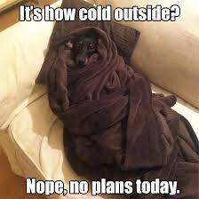 OldGloryBears's tweet image. It is 2F here this morning with a high to reach 18F. If it is too cold for you outside, it is too cold for your pets, too.  Please bring them inside during the cold winter months!

#Dogs #Cats #ColdWeatherPets